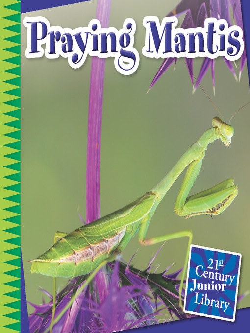 Title details for Praying Mantis by Tamra B. Orr - Available